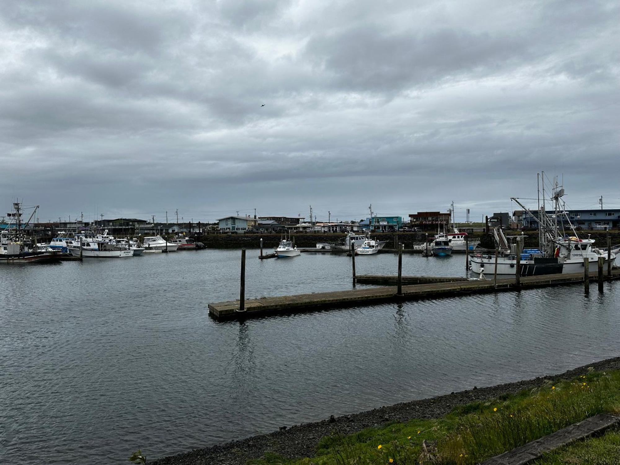 Westport Marina Cottages Esterno foto