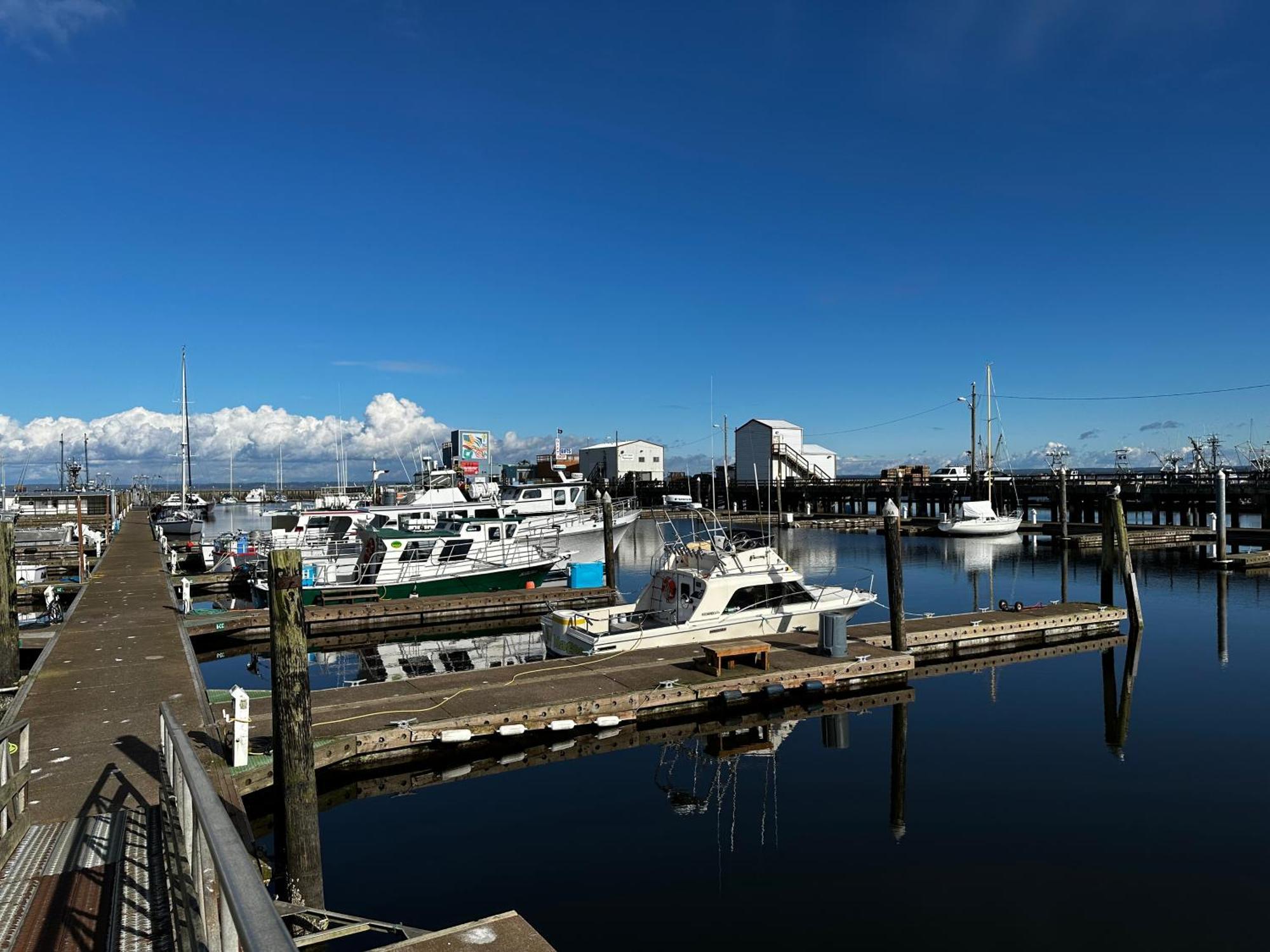 Westport Marina Cottages Esterno foto